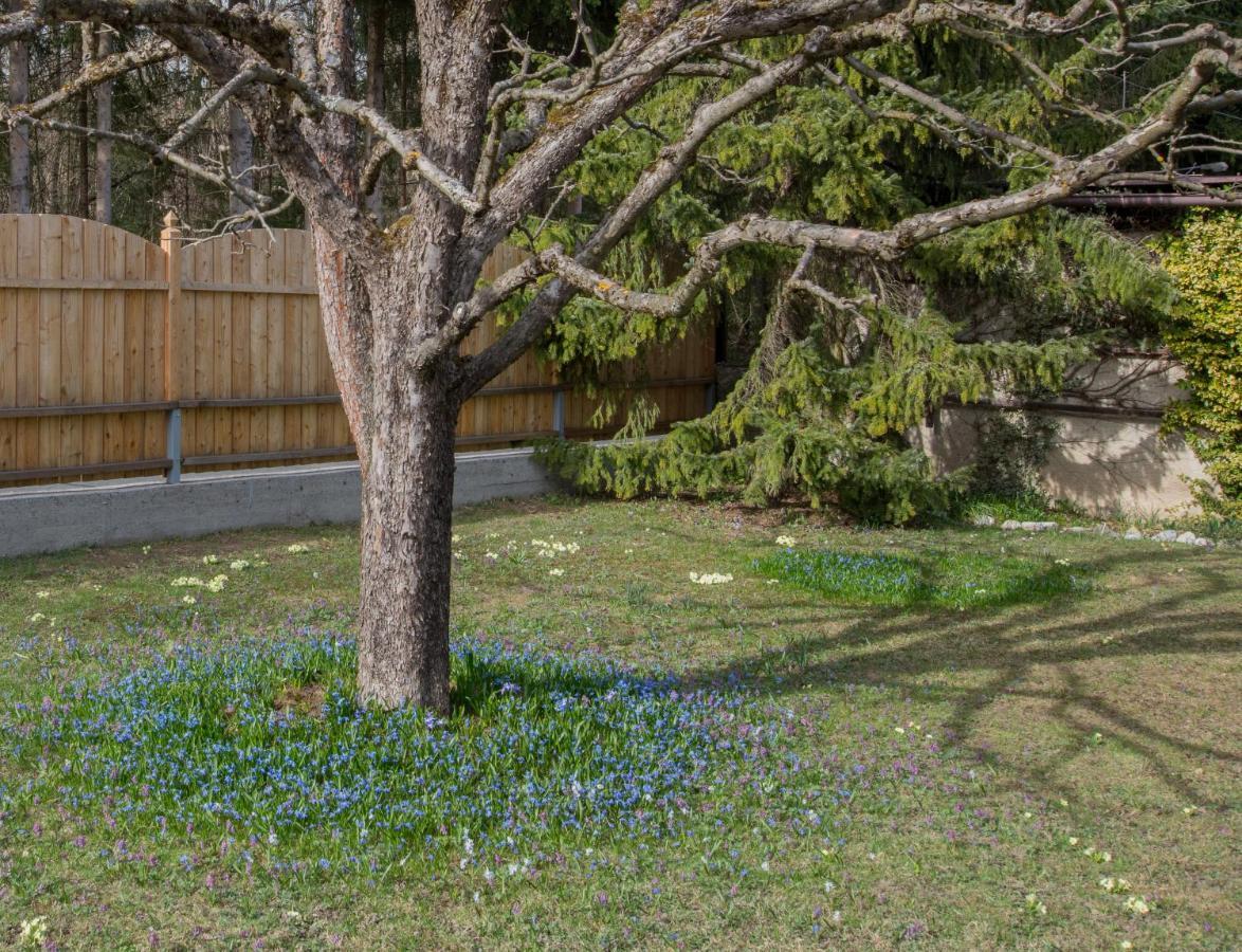 Garten Appartement Harmony Finkenstein am Faaker See Esterno foto