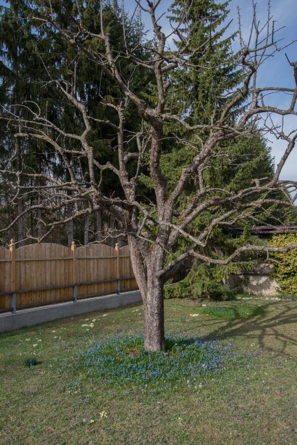 Garten Appartement Harmony Finkenstein am Faaker See Esterno foto