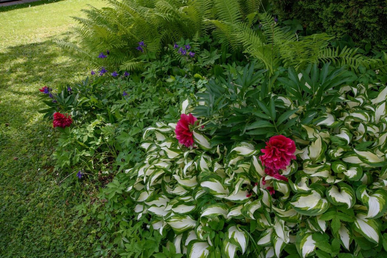 Garten Appartement Harmony Finkenstein am Faaker See Esterno foto